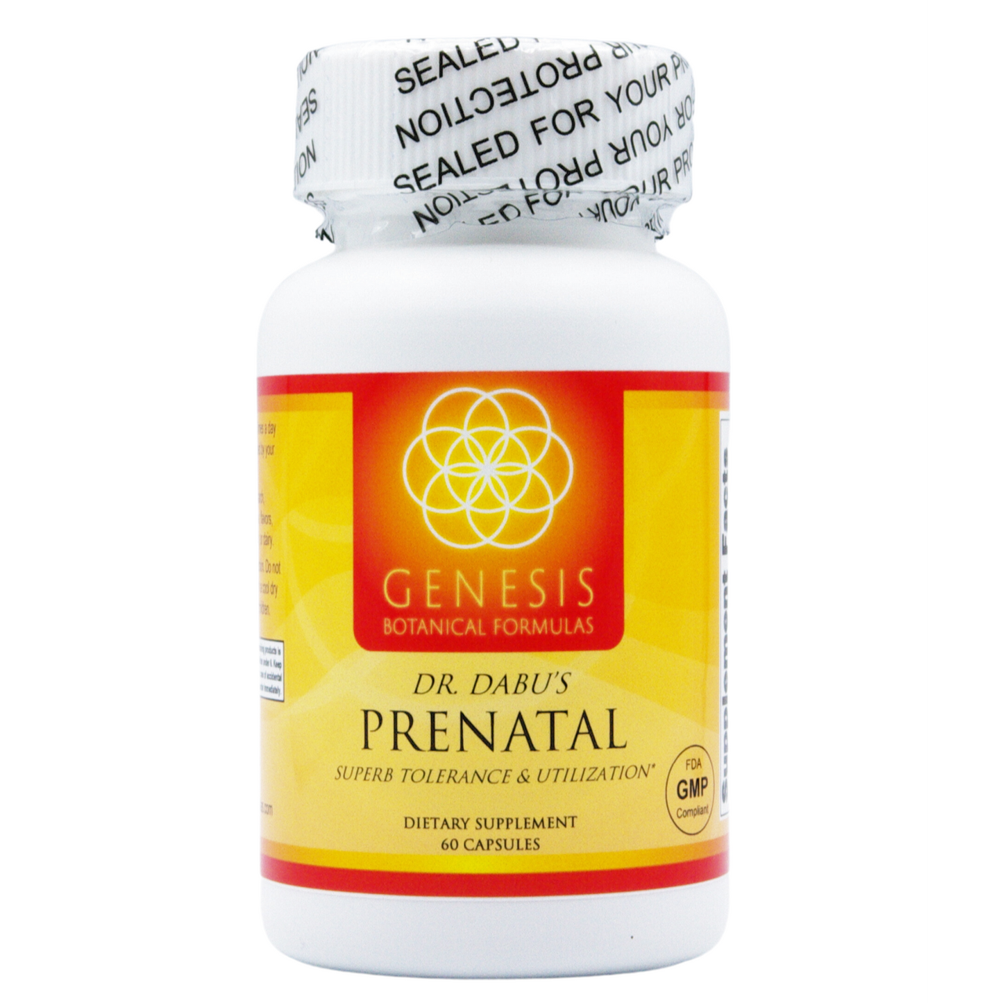 Prenatal Multi